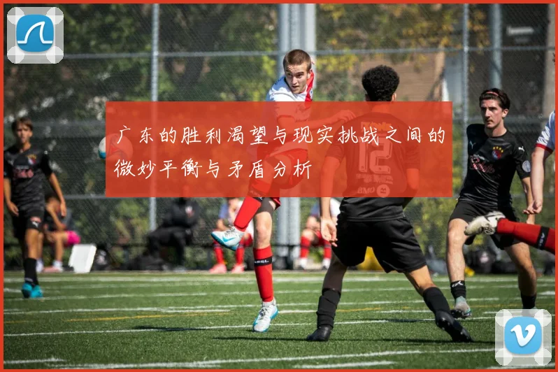广东的胜利渴望与现实挑战之间的微妙平衡与矛盾分析